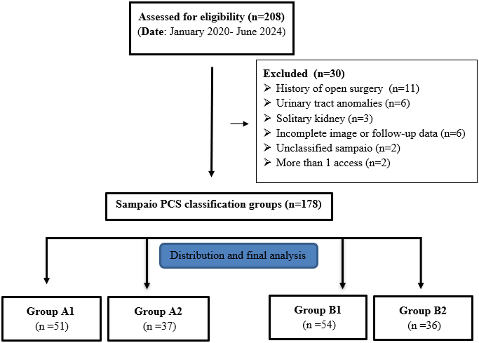 Impact of sampaio pelvicalyceal system variants on the clinical and surgical outcomes of supine mini-percutaneous nephrolithotomy in adults