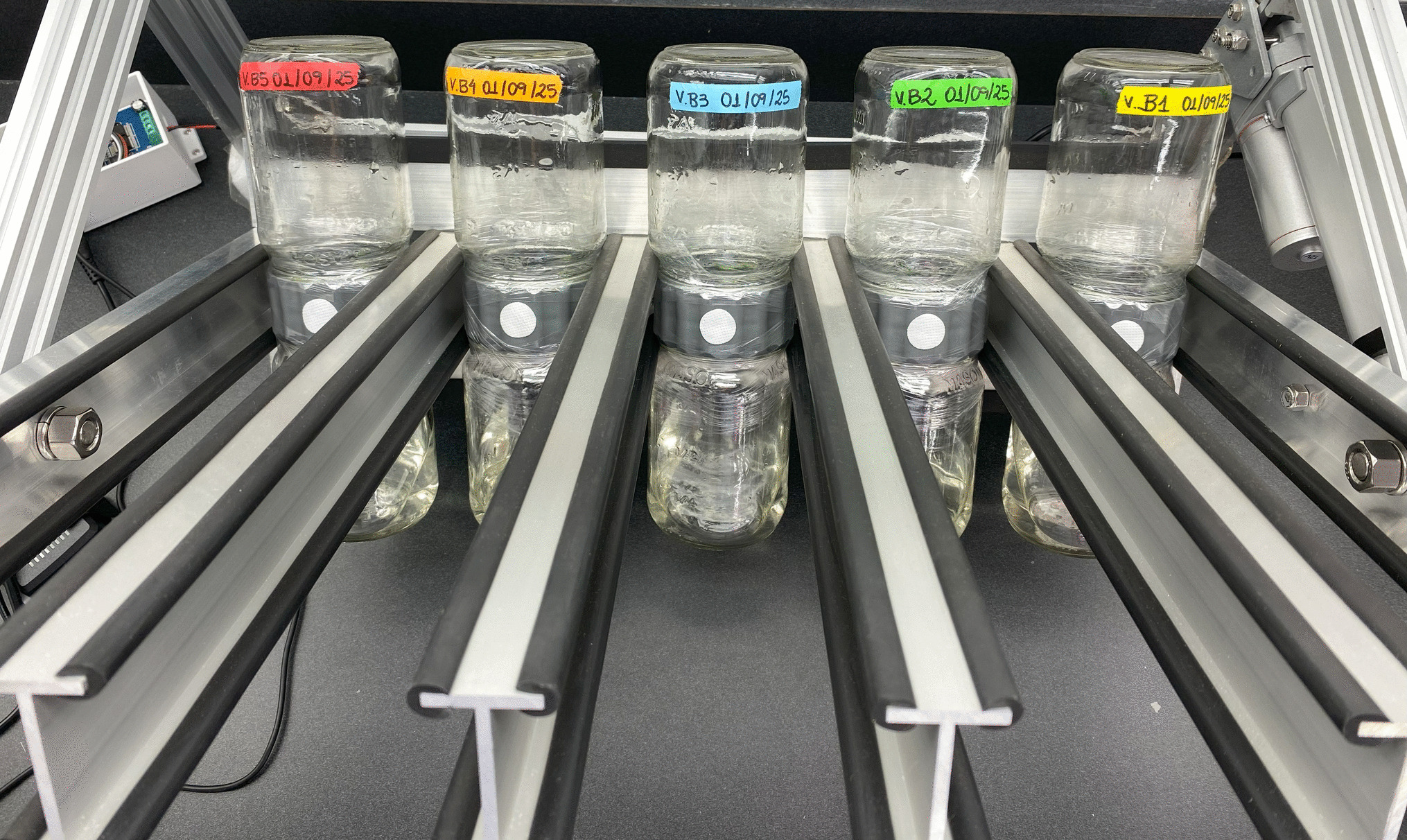 Micropropagation of  using the Biotilt™ temporary immersion system