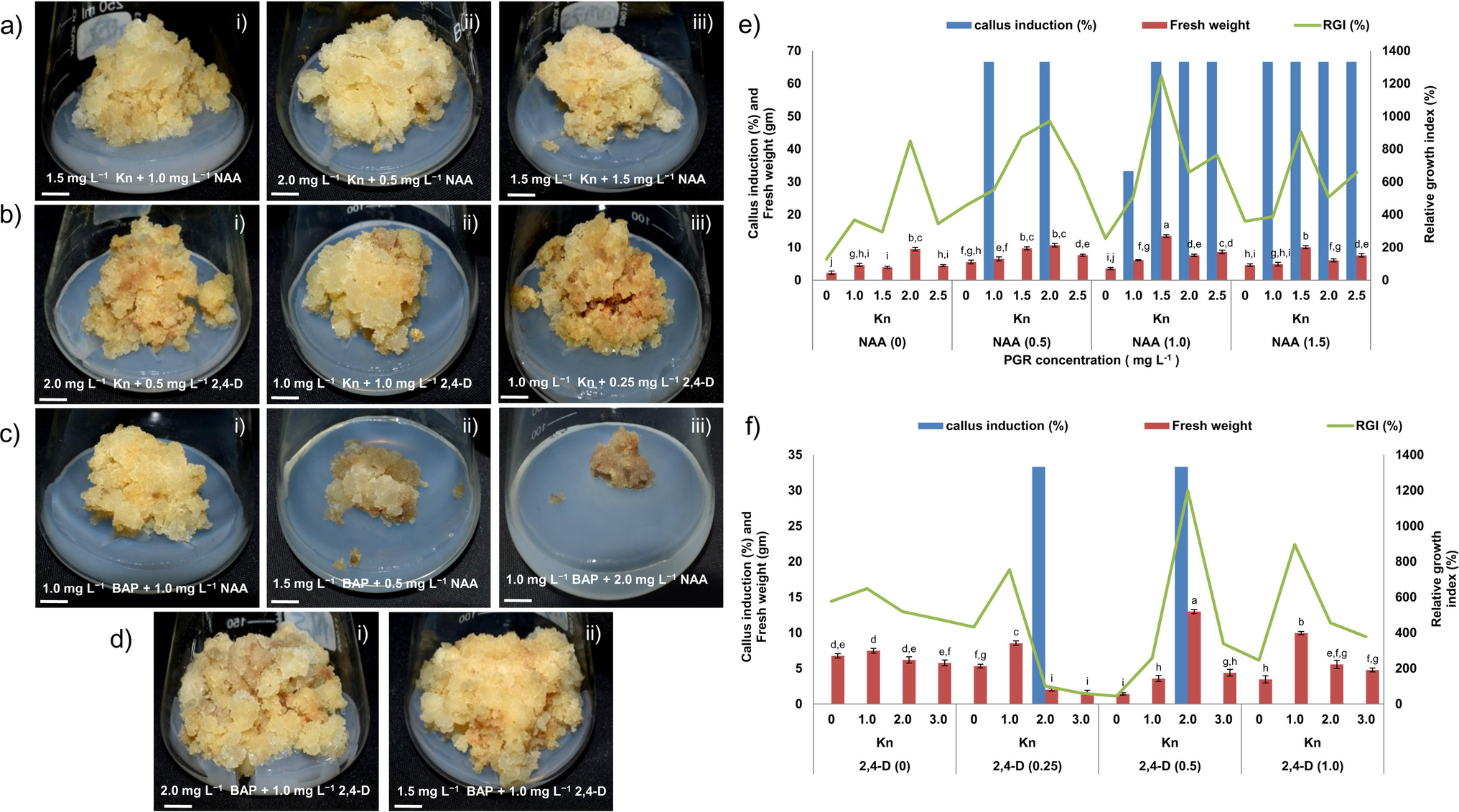 Deciphering molecular signaling and metabolite dynamics during  clonal propagation in