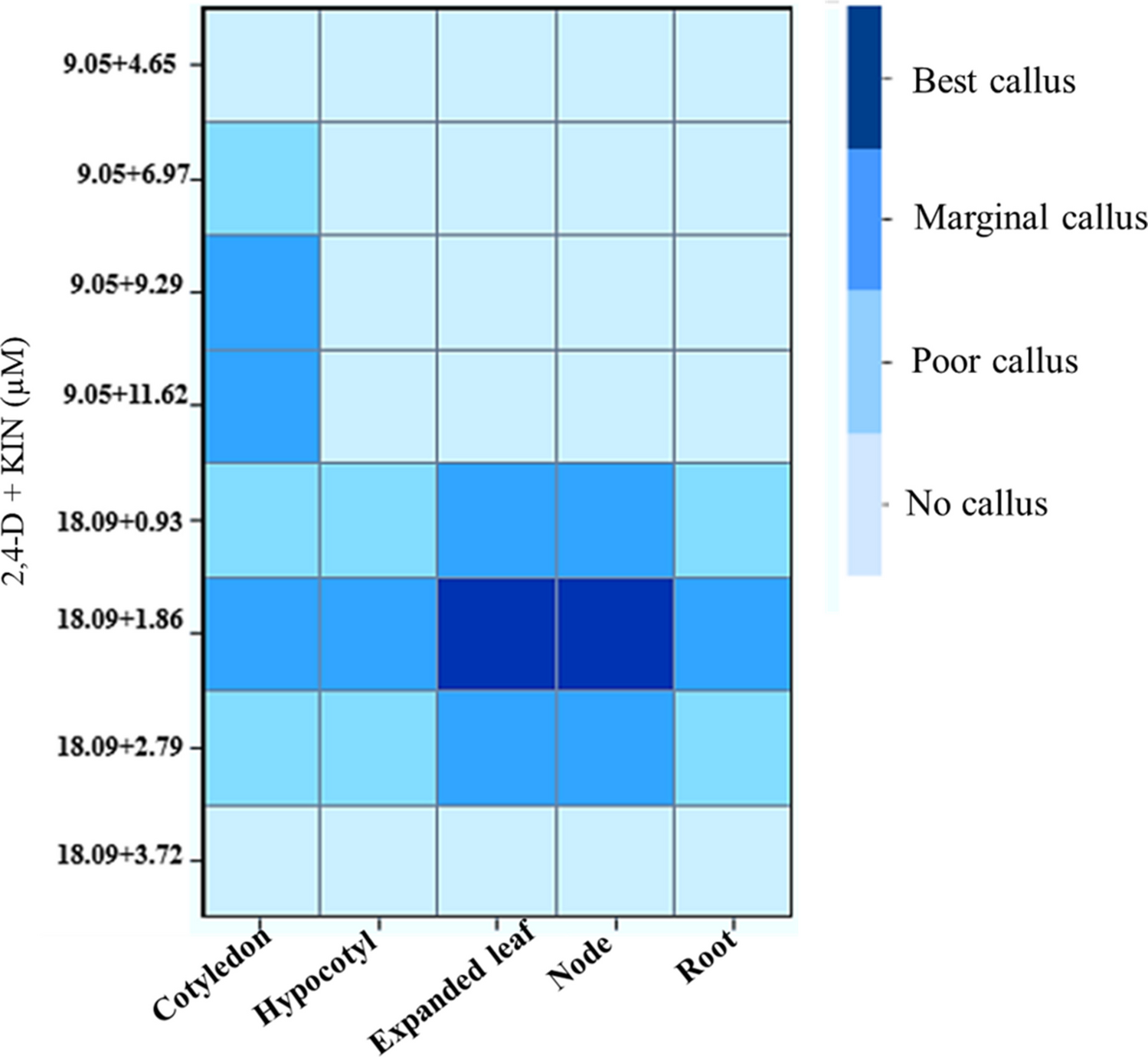 culture studies and the effect of ZnO and CuO nanoparticles on total phenolic content expression in