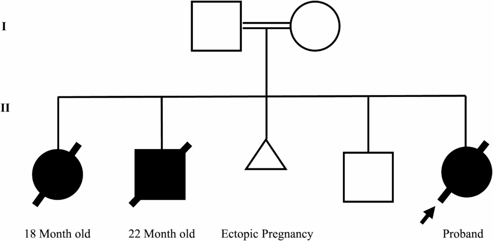 Niemann-Pick Type a Disease with a Novel  Variant - A Case Report