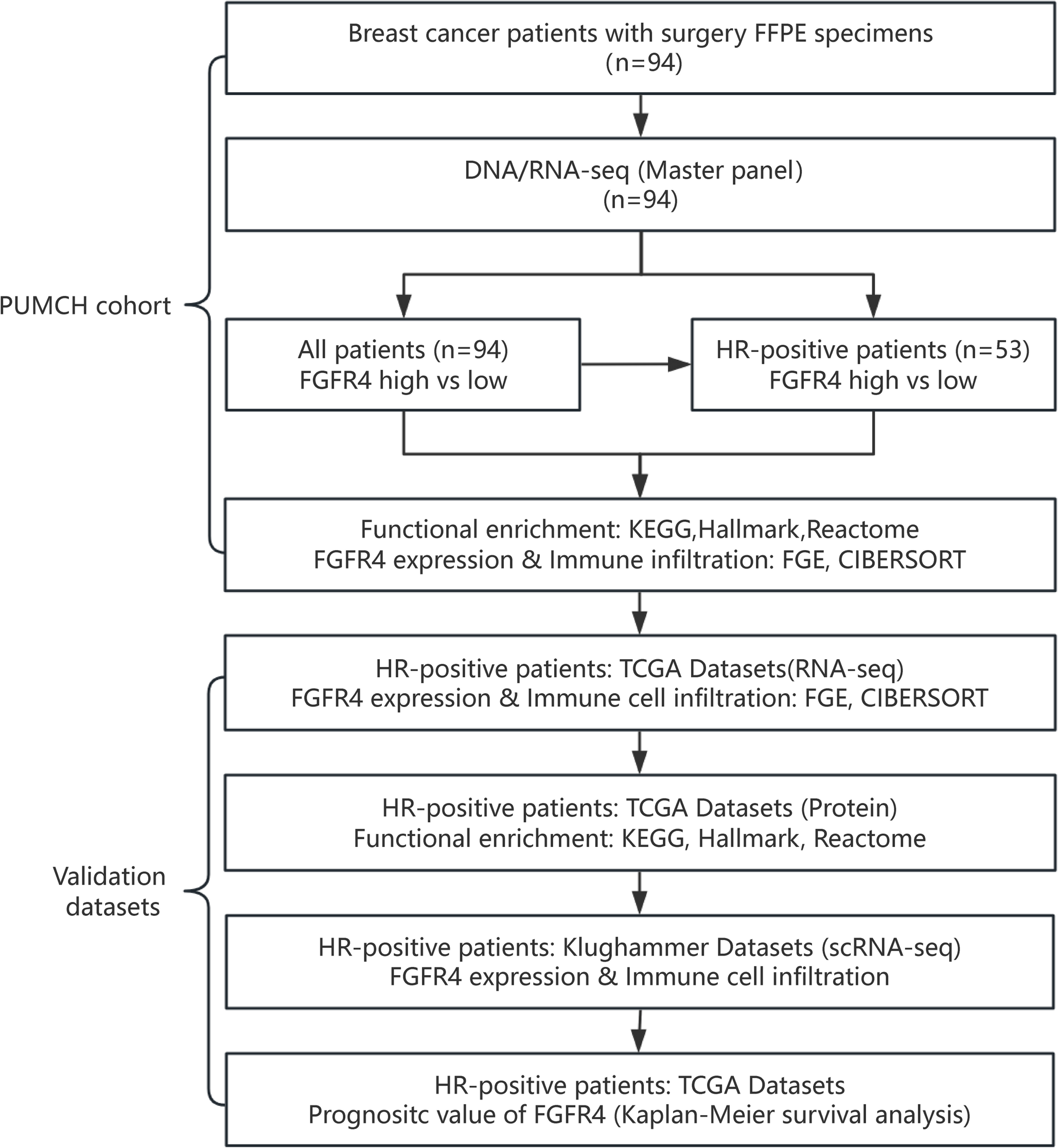FGFR4 and HER2 co-expression is associated with the proinflammatory tumor microenvironment in HR + breast cancer