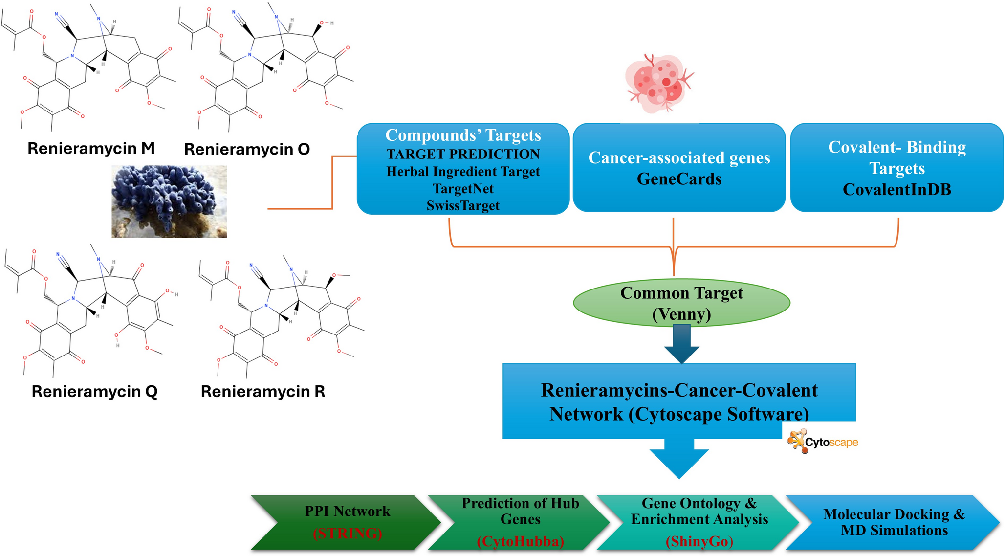 Investigation of the Anticancer Potential of Thai Blue Sponge via Targeting the PI3K/AKT/SRC Signaling Pathway using Molecular Docking and Dynamic Stimulation