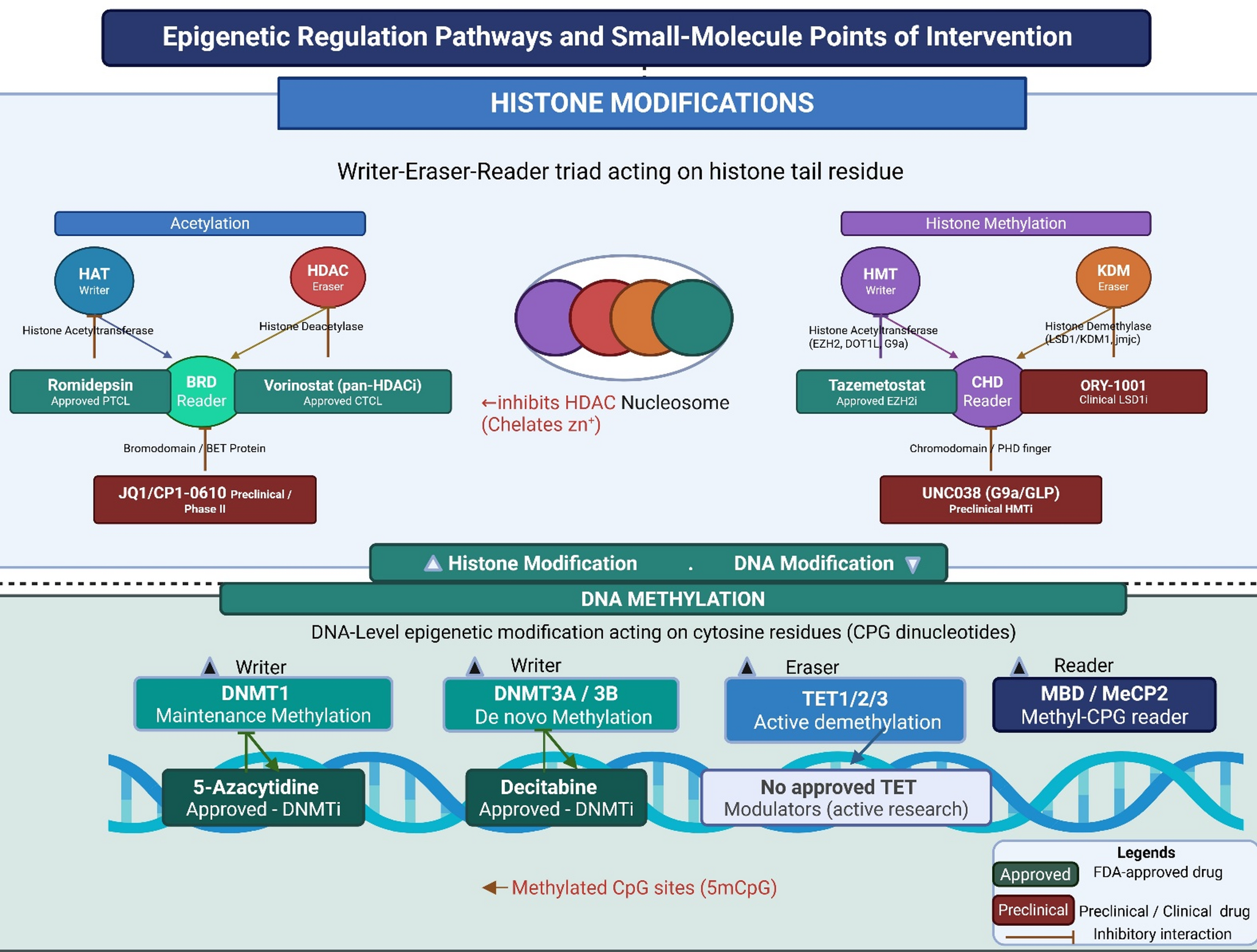 Chemical Epigenetics: Small Molecules Targeting Chromatin Modifiers in Disease Modulation