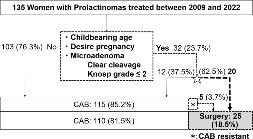 Pregnancy and delivery after surgical remission in women with prolactinomas desiring pregnancy: Refining surgical indications
