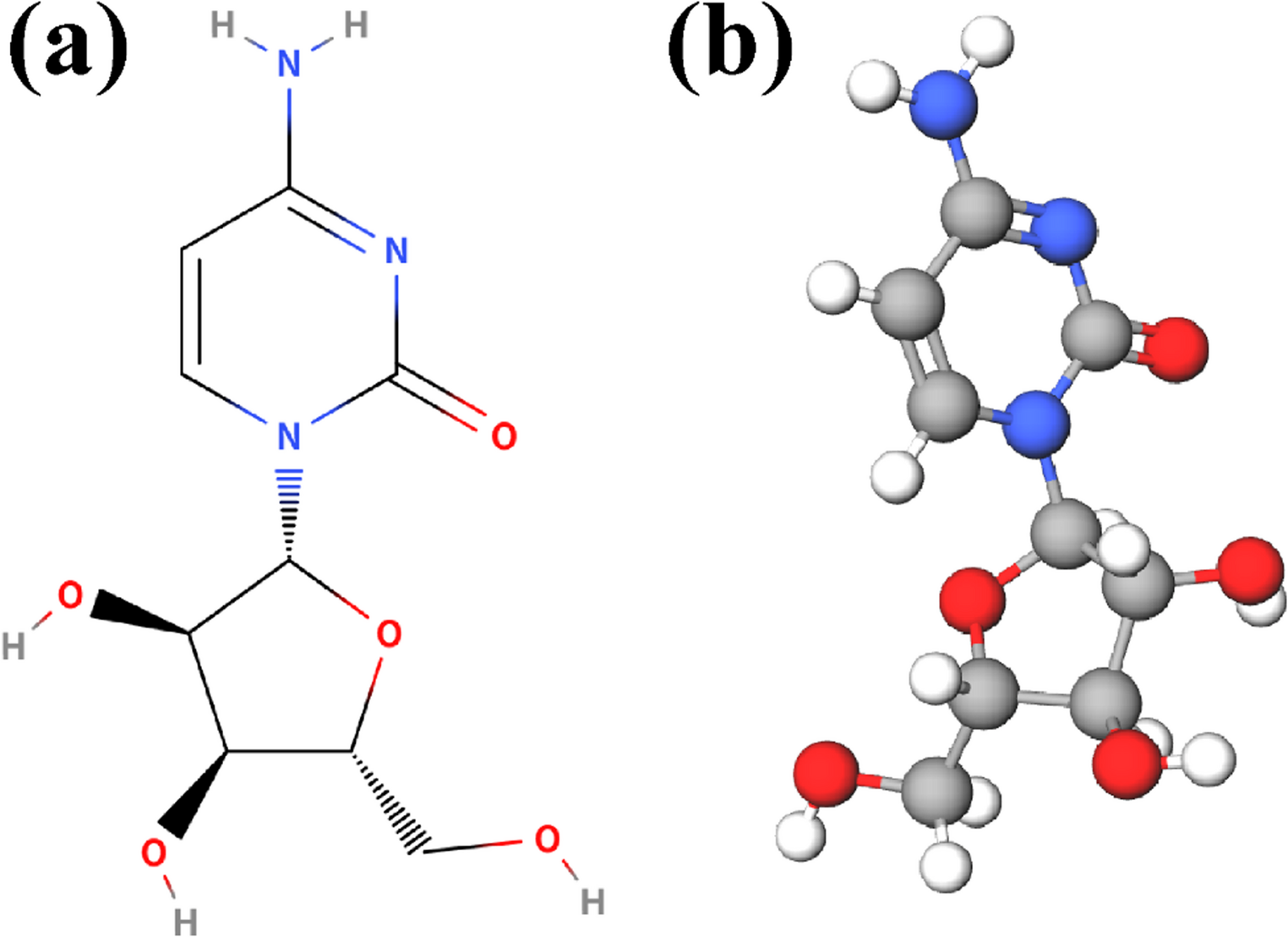 Advances in metabolic engineering of  towards high-efficiency cytidine biosynthesis
