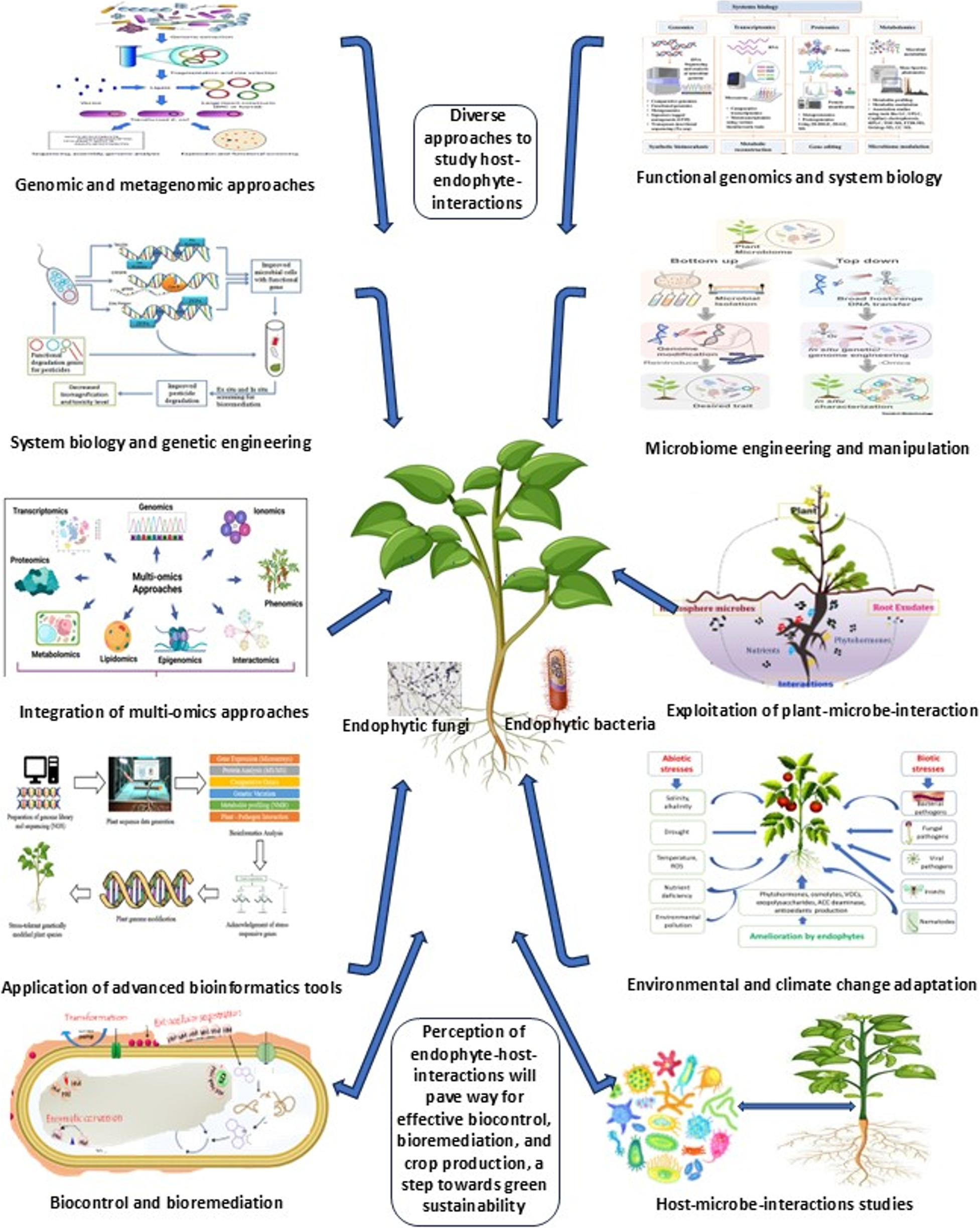 From hidden allies to precision symbionts: unleashing endophytes for sustainable agroecosystems