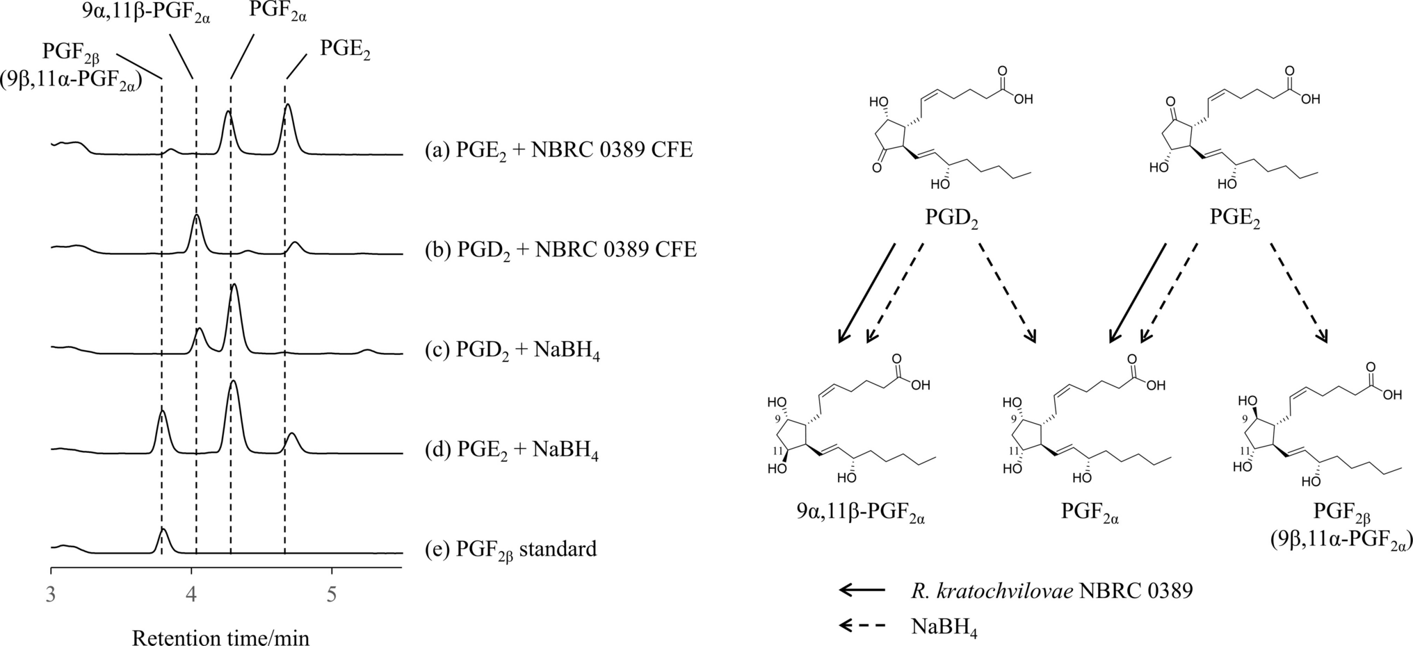 Identification and characterization of prostaglandin F 9-dehydrogenase from