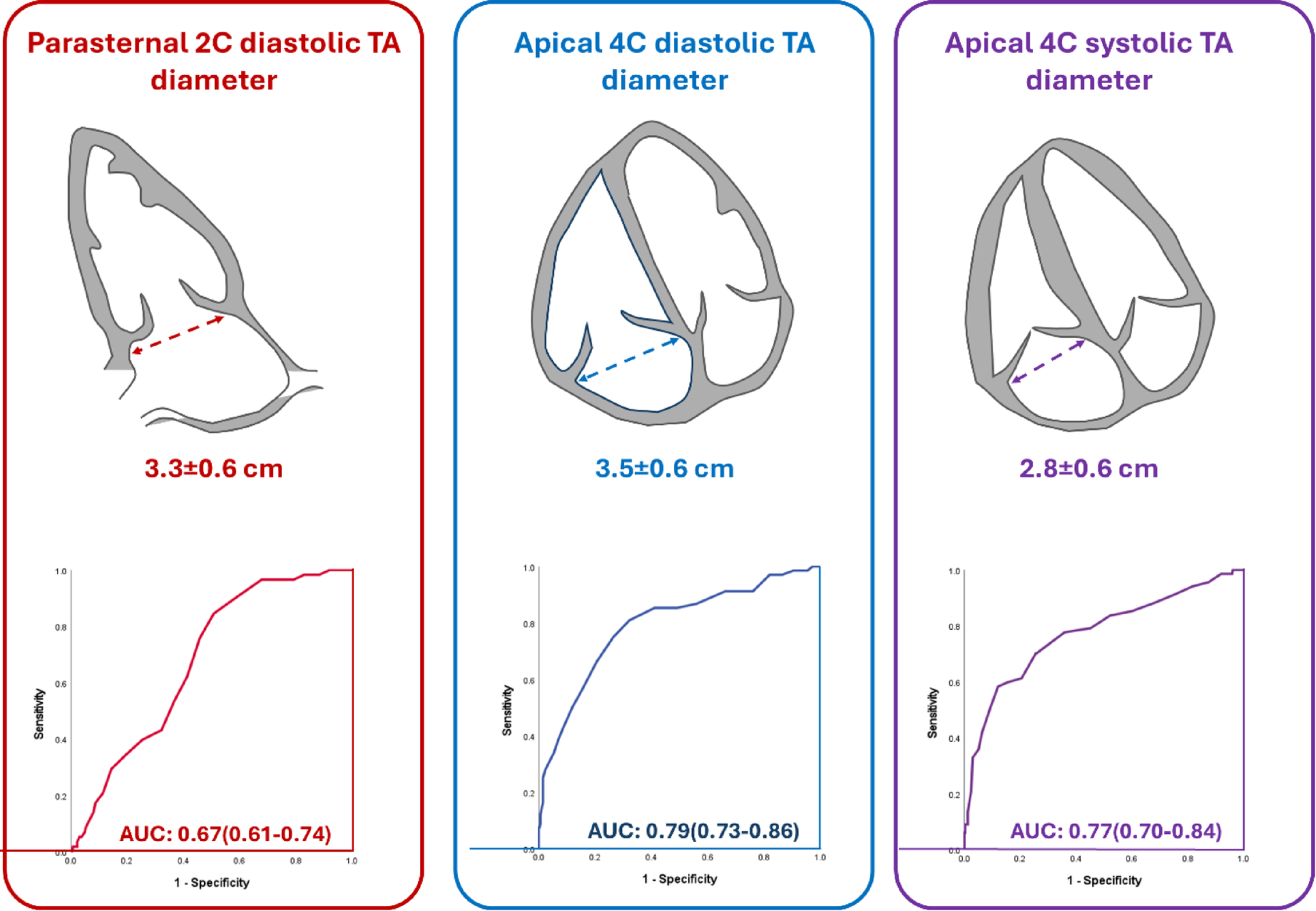 Tricuspid annulus dilatation in secondary tricuspid regurgitation: impact of the echocardiographic view and the cardiac-cycle phase of measurement