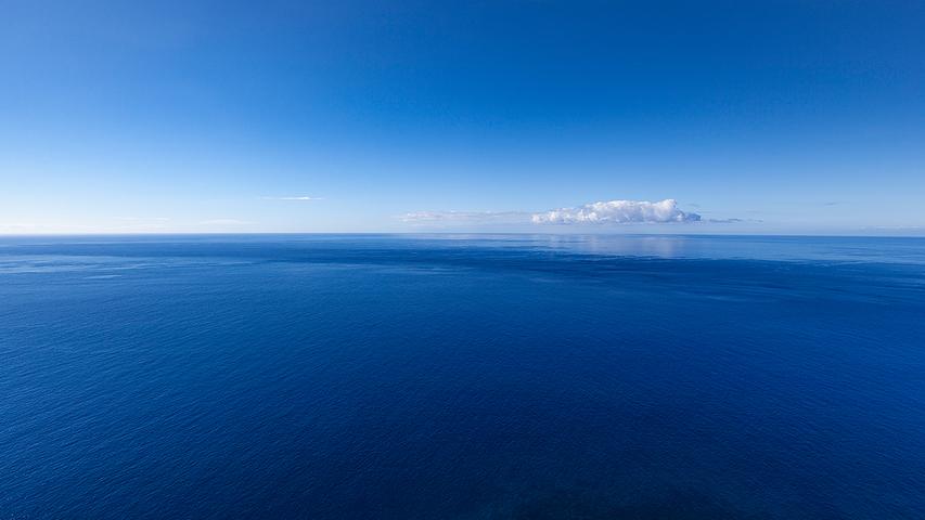Study explores how science can support and enable the High Seas Treaty