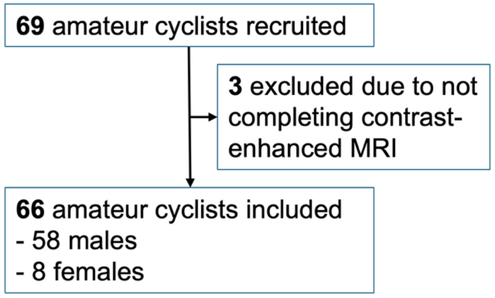 Cardiac remodeling and myocardial late gadolinium enhancement in competitive amateur cyclists: insights from cardiac MRI