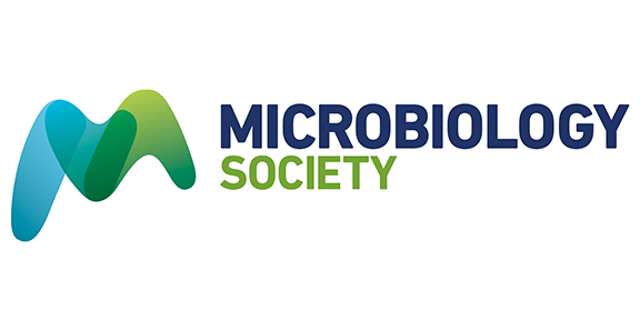 Microbacterium songi sp. nov., Microbacterium hanjuni sp. nov. and Microbacterium shimangi sp. nov., three novel salt-tolerant bacteria isolated from plateau voles (Neodon fuscus)