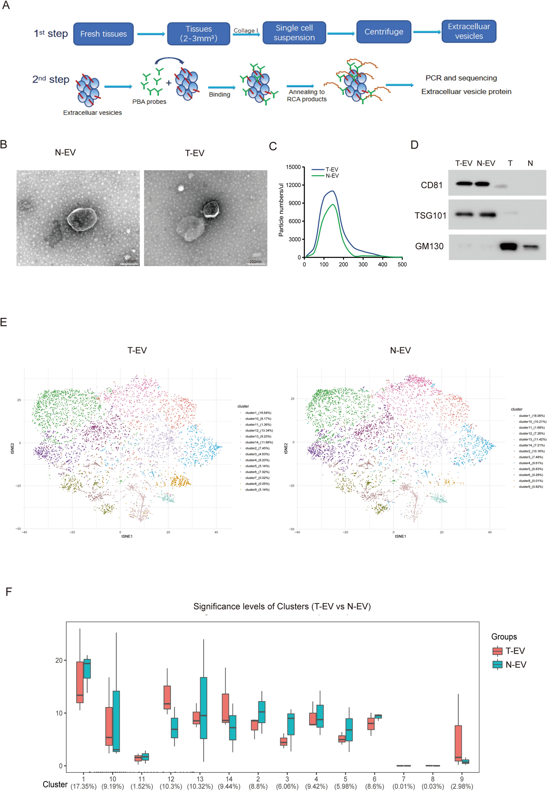 Extracellular vesicle-derived CDCP1 promotes chemoresistance and macrophage polarization in breast cancer