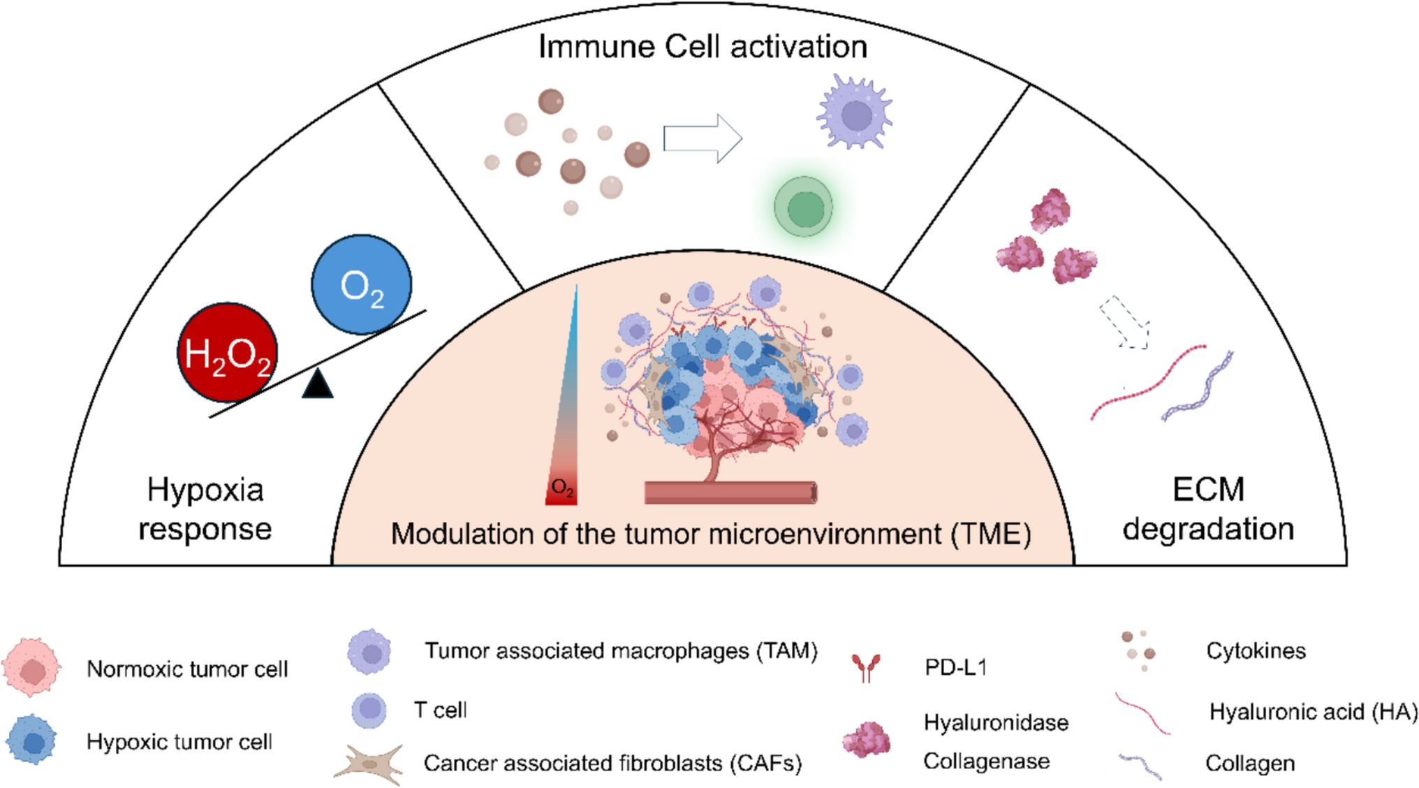 Engineering Mesenchymal Stem Cells with Nanomaterials for Tumor Microenvironment Regulation and Precision Therapy