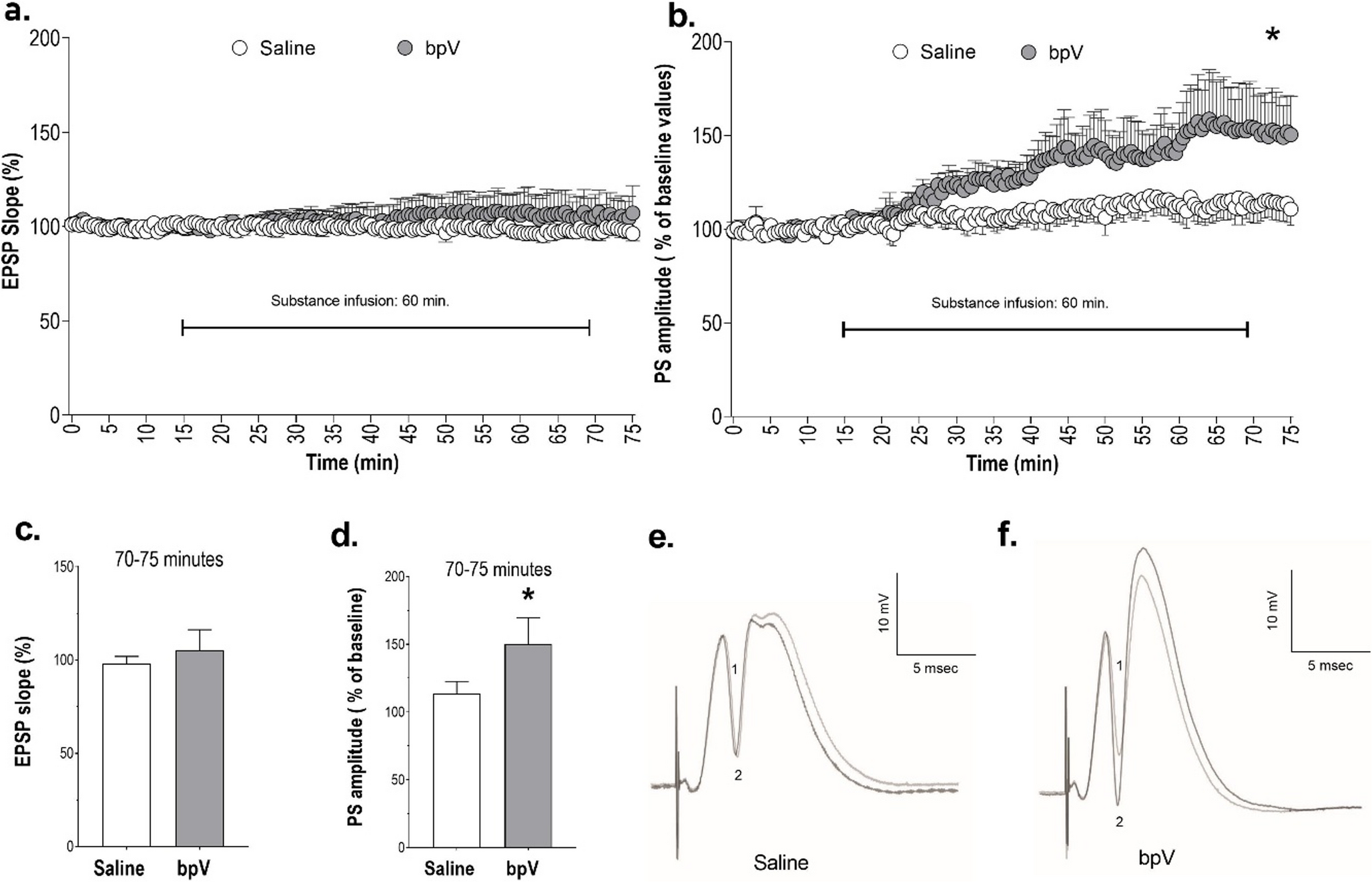 Inhibition of phosphatase and tensin homolog induces chemical long-term potentiation in the dentate gyrus of hippocampus