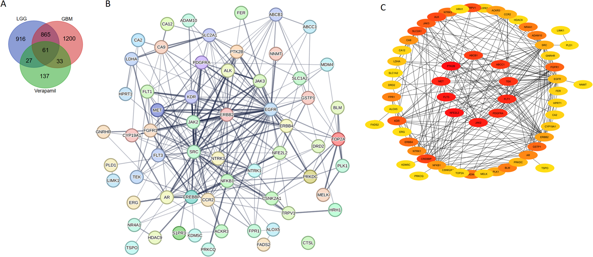 Targeting ABC transporters in glioma: farnesiferols as potent agents against chemotherapy resistance