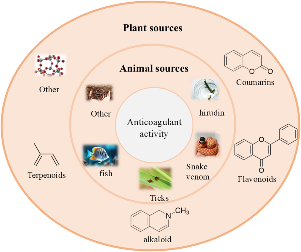 Recent advances in progress of natural anticoagulant active substances
