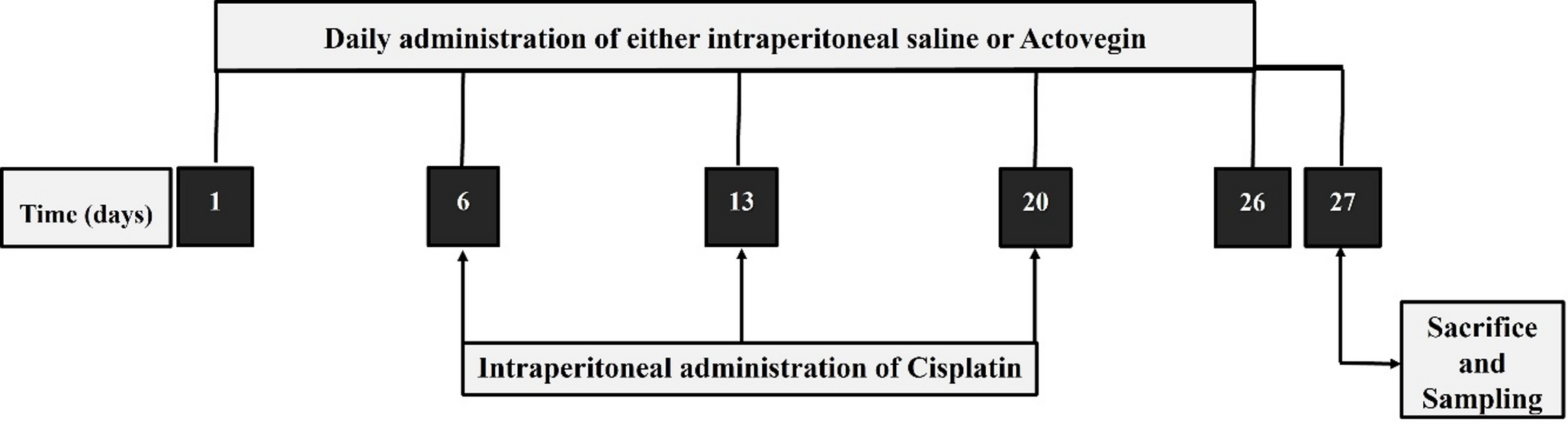Protective role of Actovegin against Cisplatin-evoked testicular damage: evidence from a rat model
