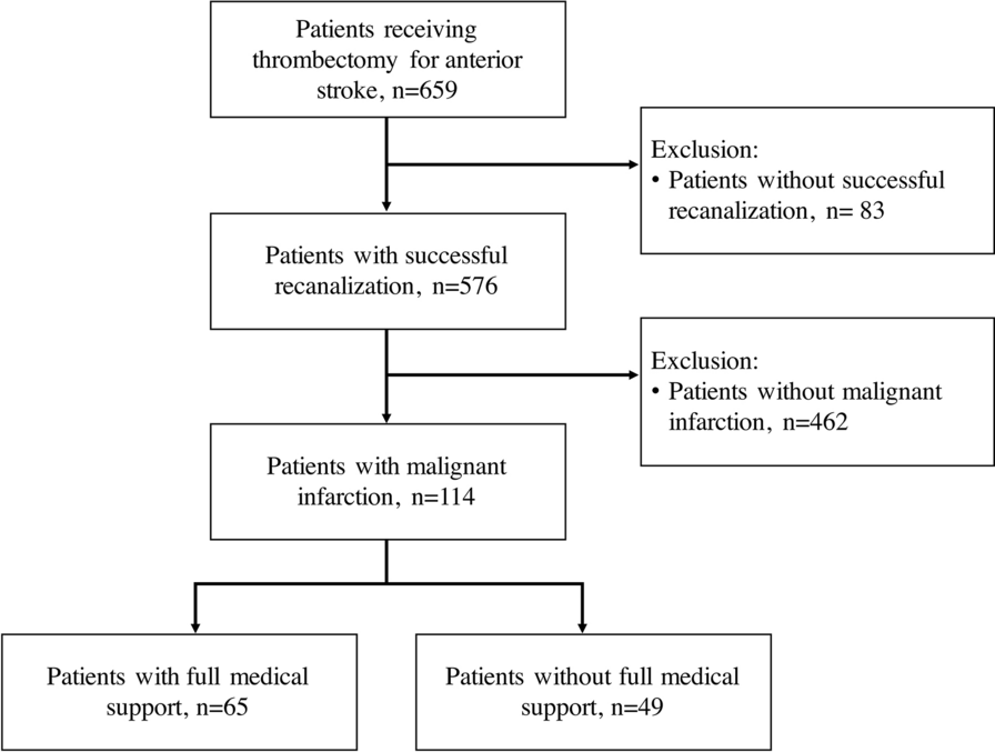 Full Medical Support versus Limited Medical Care in Malignant Middle Cerebral Artery Infarction after Successful Recanalization for Large-Vessel Occlusion Stroke