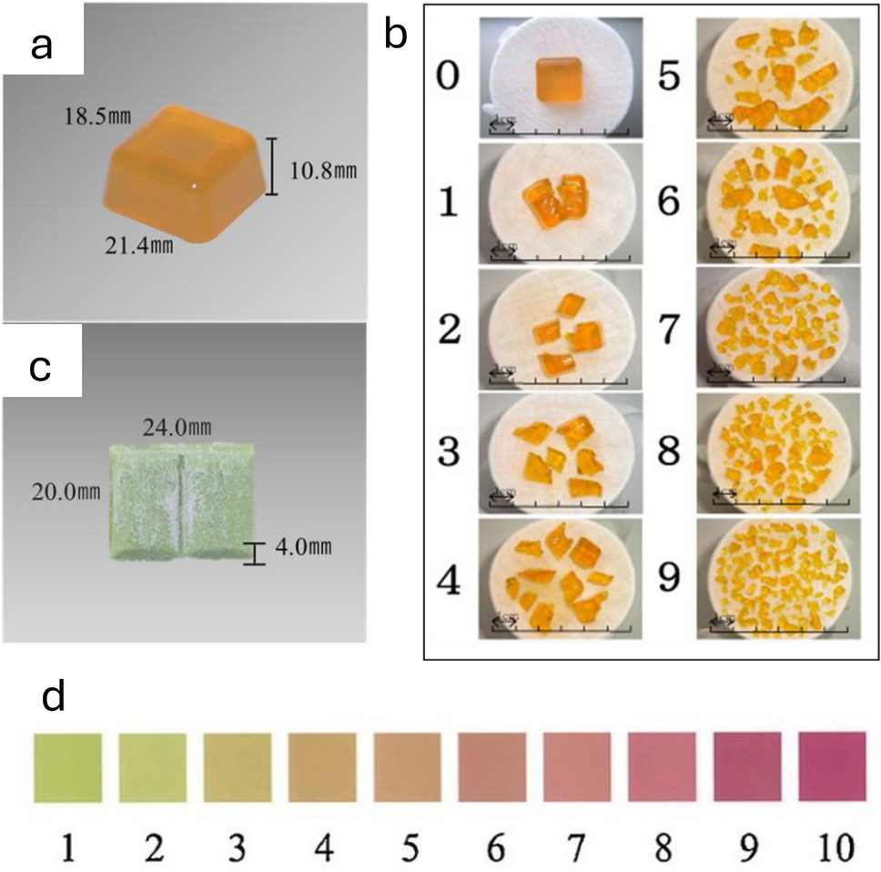 Changes in dental age and masticatory performance during the mixed dentition period
