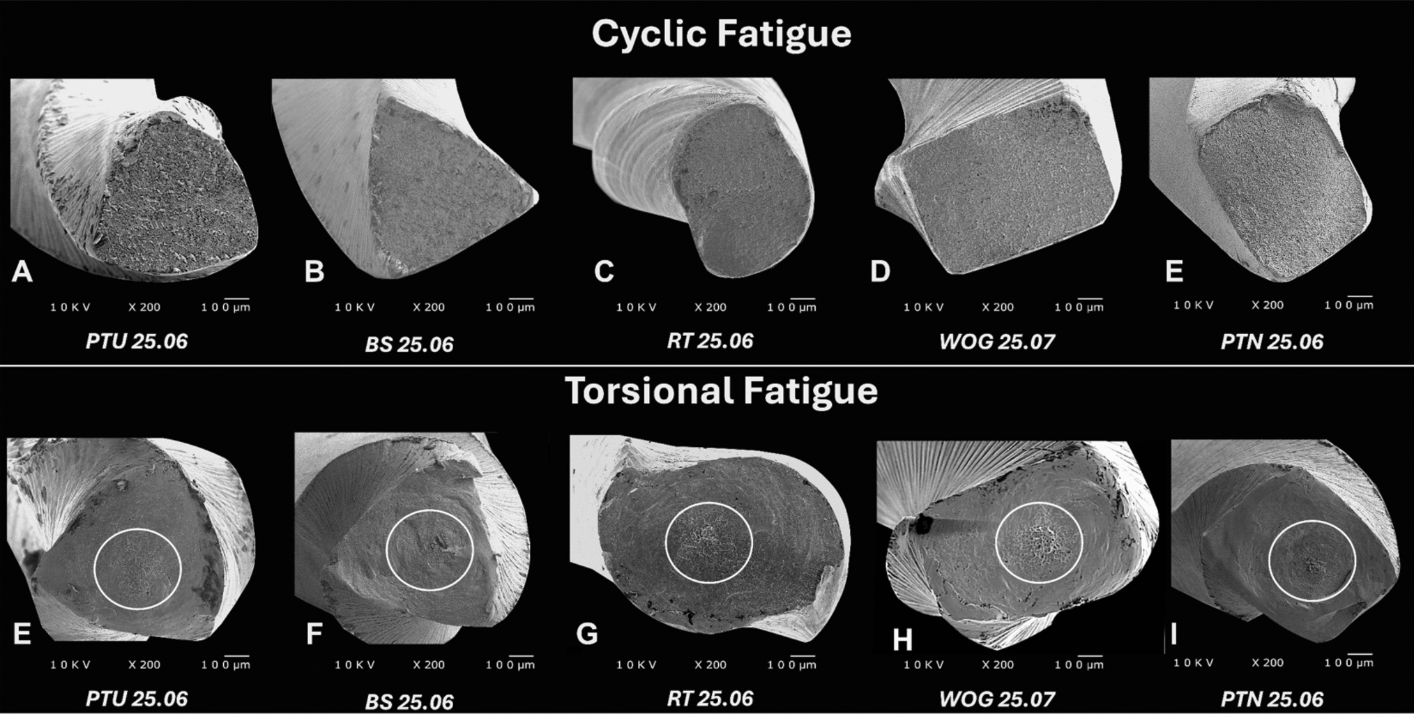 Mechanical properties and micro-CT-based biomechanical performance of NiTi instrumentation systems in mandibular molars