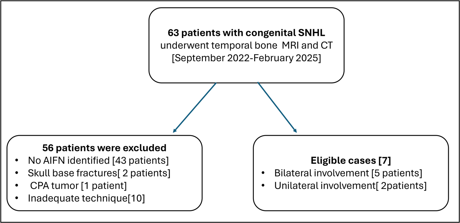 Radiological insight into aberrant intracranial course of the facial nerve and its association with inner ear malformations: a retrospective case series