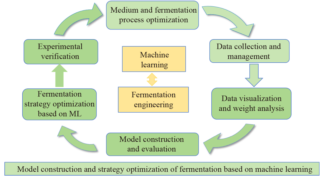 Improving lipid production by  for renewable fuel production based on machine learning