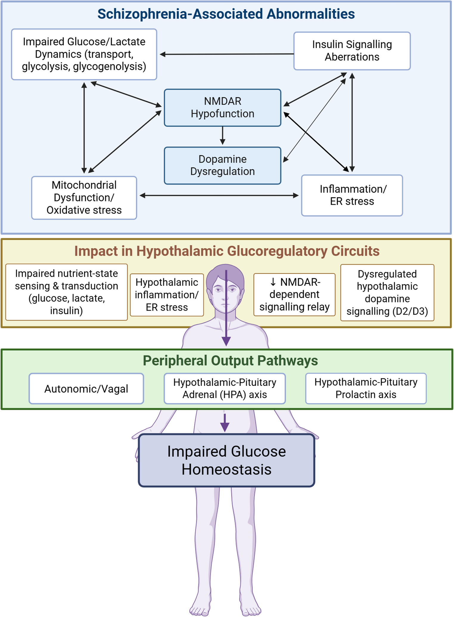 From brain bioenergetics to hypothalamic glucoregulation: A shared-systems hypothesis for intrinsic dysglycemia in schizophrenia