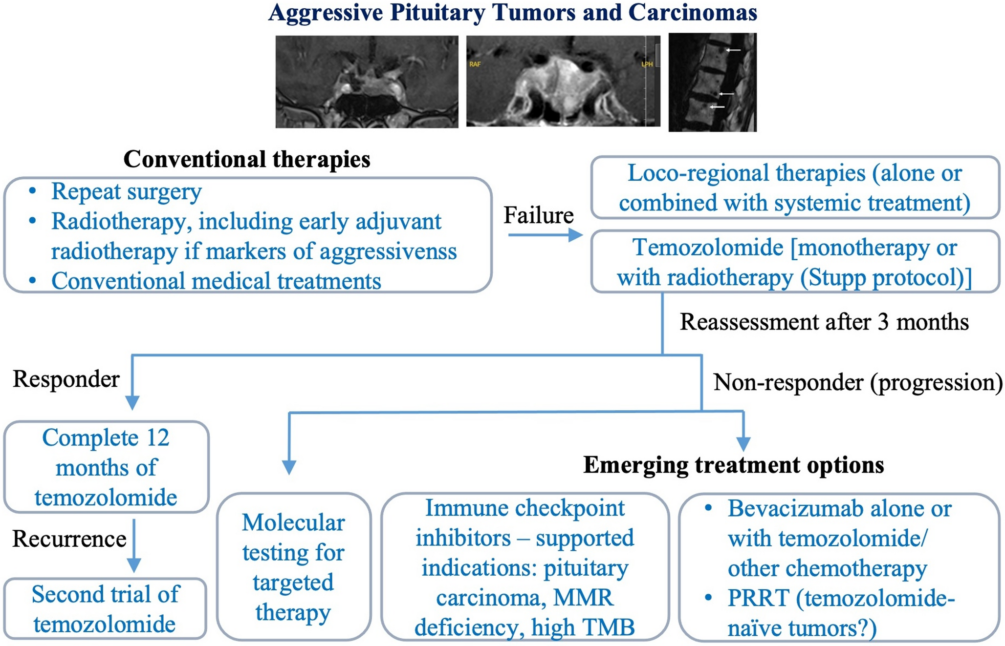 Therapy for aggressive pituitary tumors and carcinomas