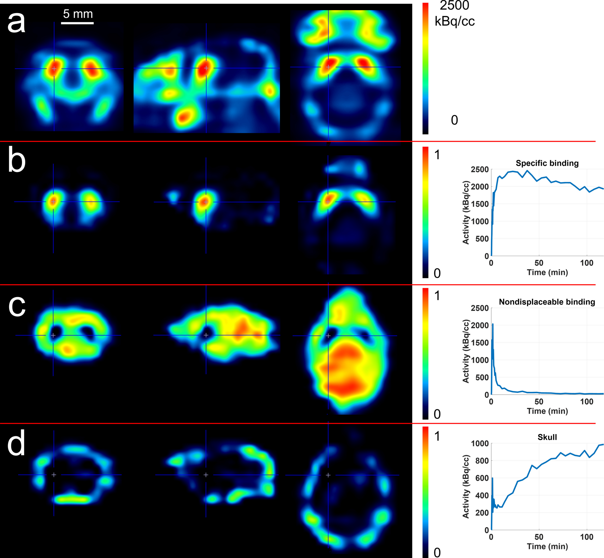 Accurate Reference Region Calculation in Mouse Brain [F]fallypride Studies