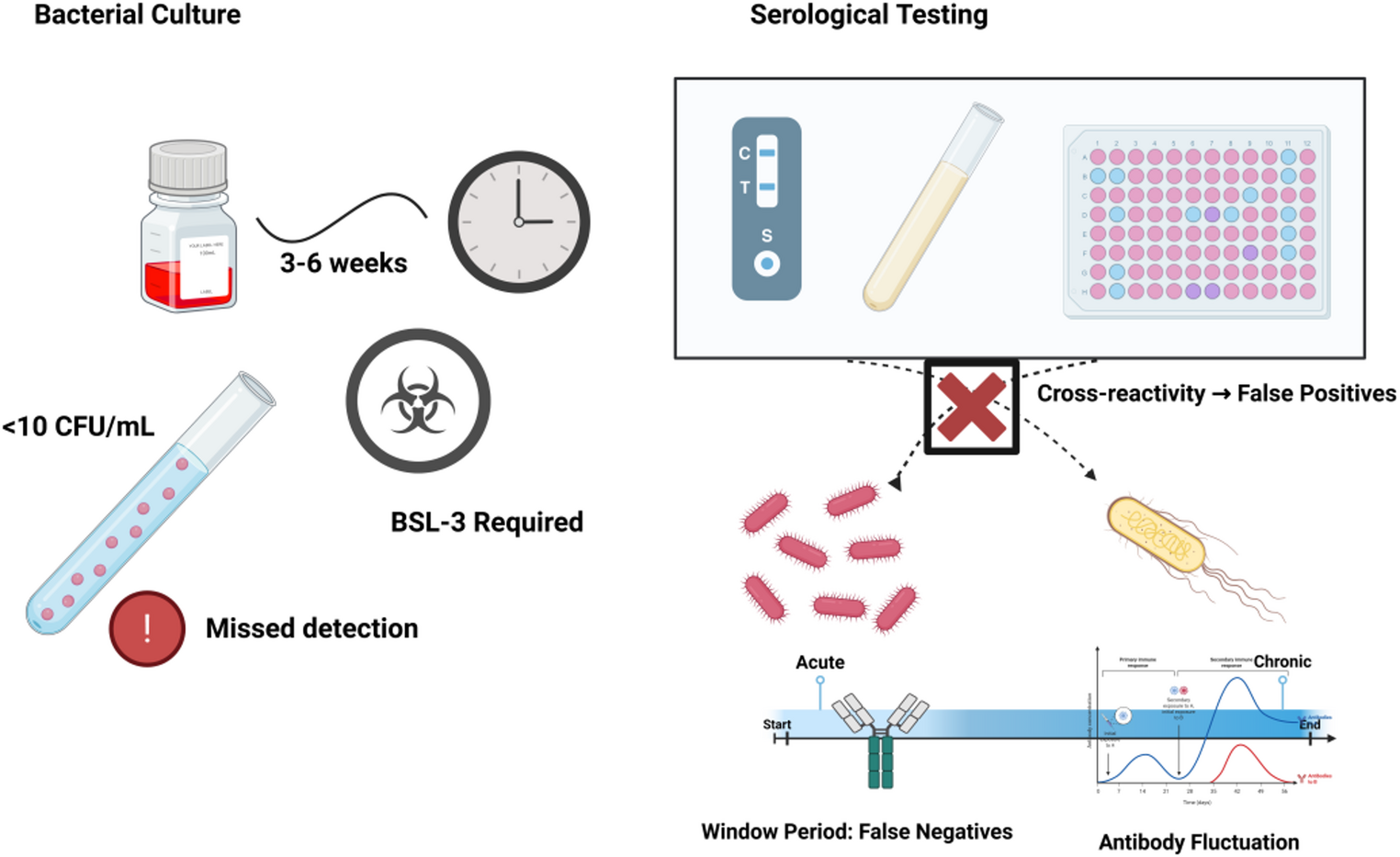 Ultrasensitive Detection and Its Potential Applications in the Diagnosis of Brucellosis
