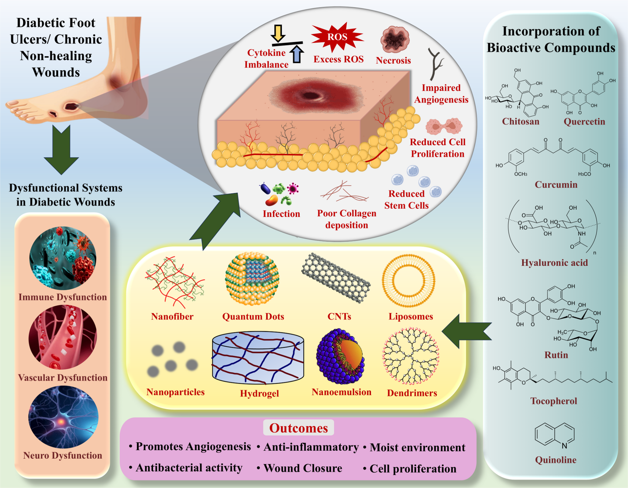 Targeting Molecular Dysregulation in Diabetic Wound Healing through Nanomaterial-Based Drug Delivery Systems for Improved Therapeutic Outcomes
