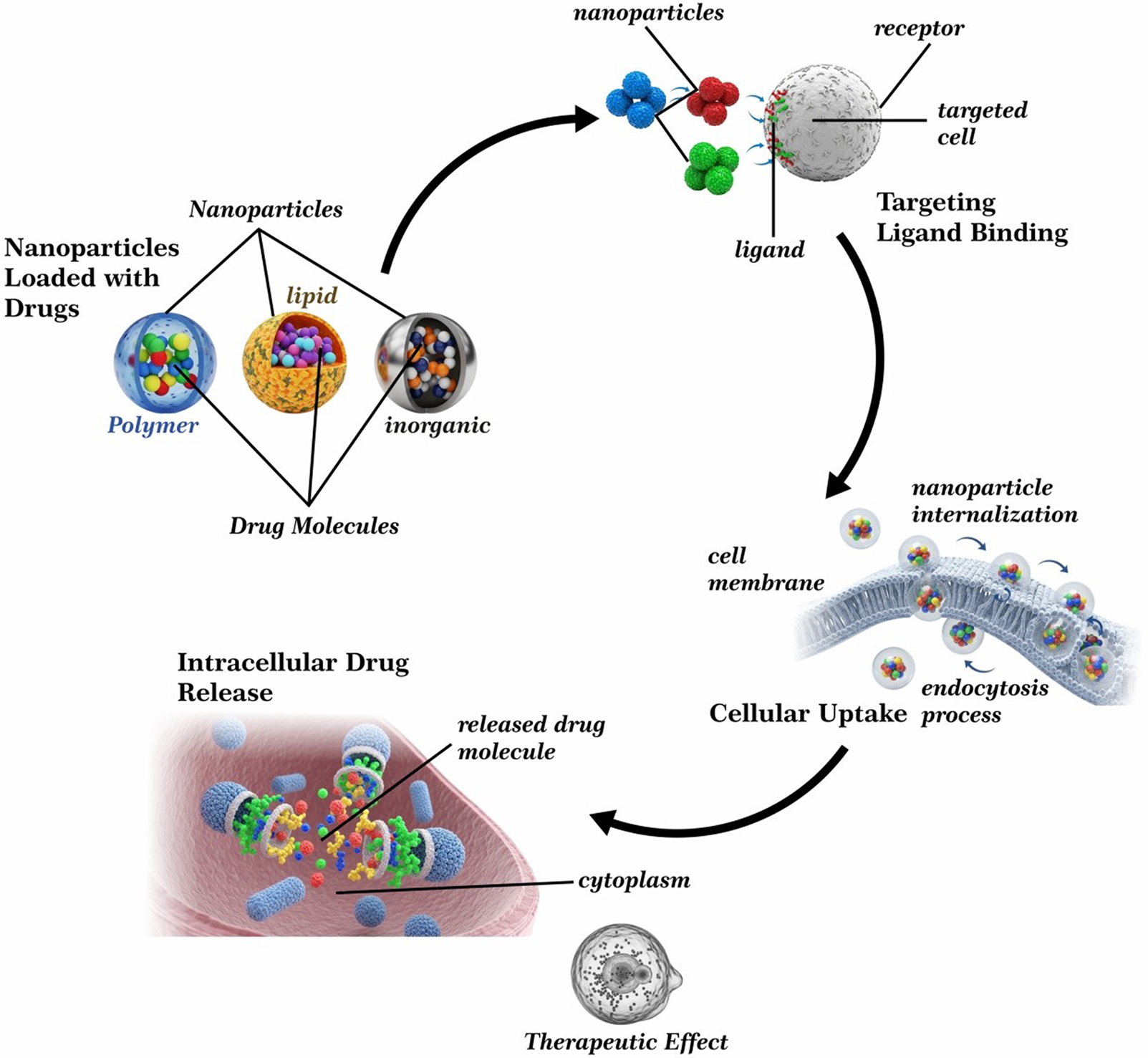 Nanoparticles and Nanomaterials for Targeted Drug Delivery: An Updated Review