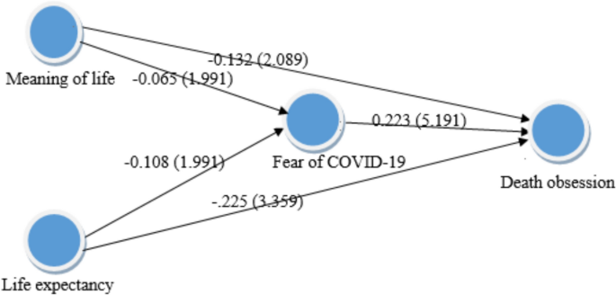The Role of Fear of COVID-19 as a Mediator in the Association of Meaning of Life and Life Expectancy with Death Obsession
