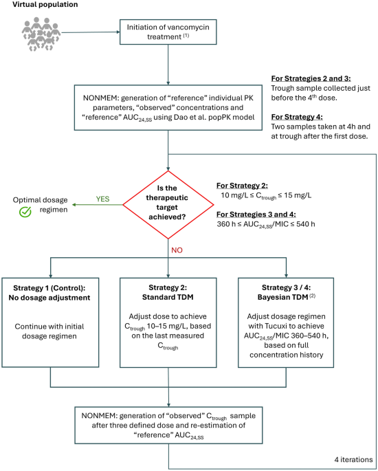 Evaluating Bayesian Vancomycin Dosage Adjustment in Neonates: A Simulation-Based Virtual TDM Study