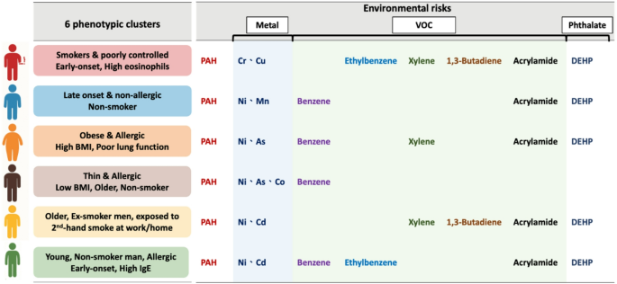 Multi-Dimensional Perspective of the Gene and Environmental Interaction in Asthma
