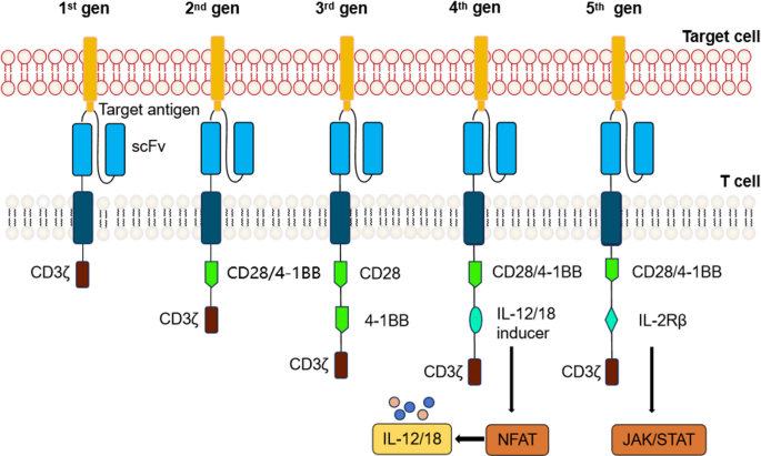 The Evolving Landscape of CAR T-Cell Therapy in Autoimmune Diseases: A State-of-the-Art Review (2025)