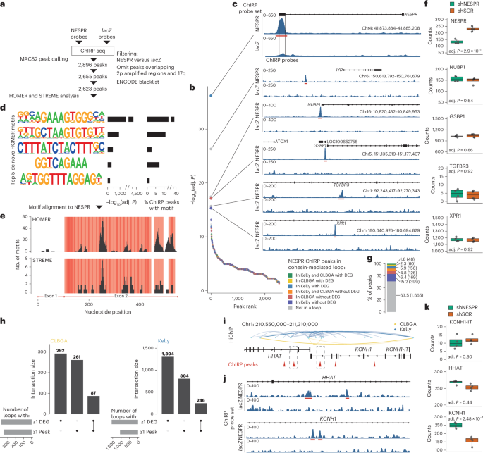 Widespread DNA off-targeting confounds RNA chromatin occupancy studies