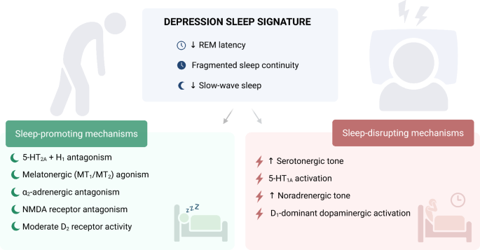 Restorative or Disruptive? Effects of Antidepressants on Sleep Architecture in Depression