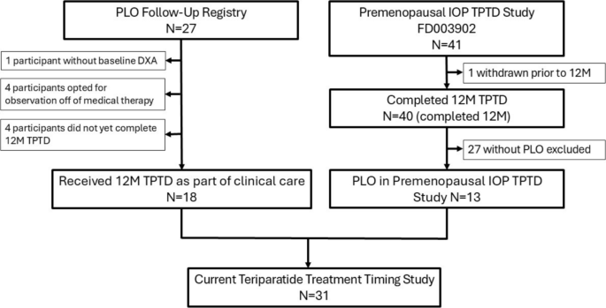 Postpartum timing of teriparatide initiation and BMD response in pregnancy- and lactation-associated osteoporosis: an observational study