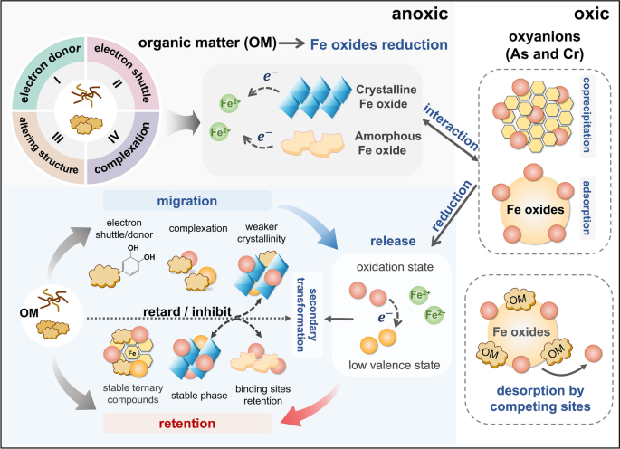 Effects of natural organic matter on iron oxide reduction and the subsequent impacts on oxyanion contaminant dynamics: a review