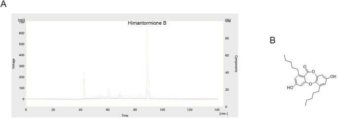 Anticancer activity of himantormione B: a new depsidone from the Antarctic lichen , in colorectal cancer