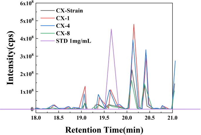 Exploring Cyclo (-Gly-Pro) for inflammation modulation in atopic dermatitis: a study on streptococcal postbiotics