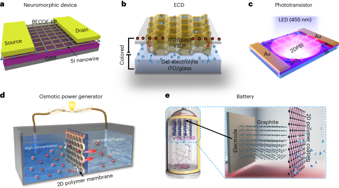 SMAIS: a universal platform for the on-water surface synthesis of two-dimensional polymer crystals