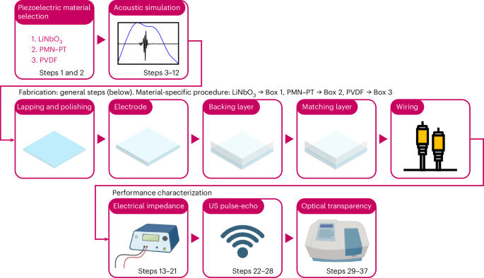 Fabrication of optically transparent ultrasound transducers to integrate light and sound in multimodal biomedical systems