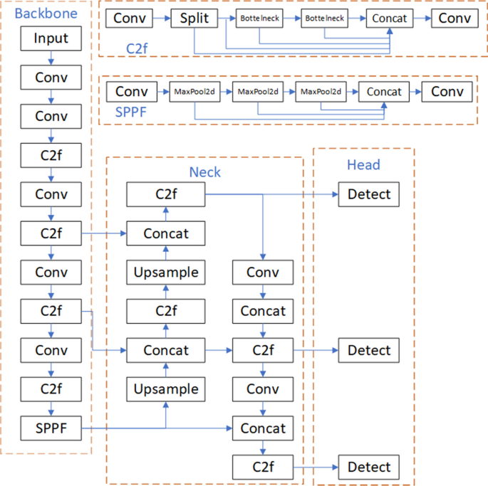 Diabetic Retinopathy Detection Algorithm Based on Improved YOLOv8