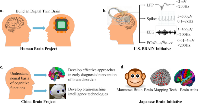 Do all roads lead to Rome? The challenges of building brain-like machines