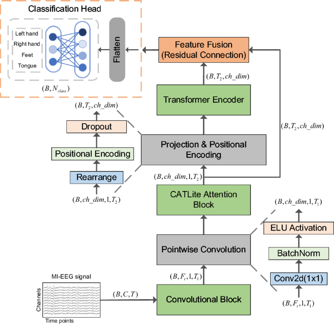 Robust decoding for MI-EEG: a hybrid transformer network using multi-perspective collaborative attention and dynamic hyperbolic tangent
