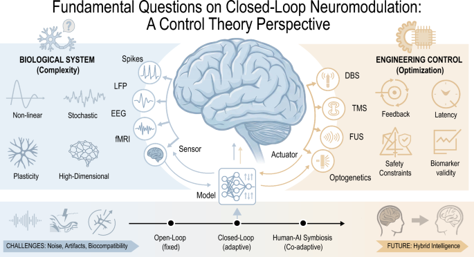 Fundamental questions on closed-loop neuromodulation: a control theory perspective