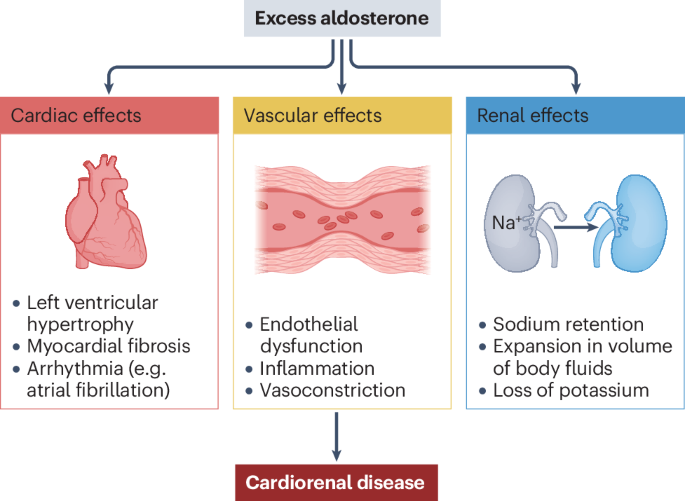 Aldosterone synthase inhibitors for the treatment of cardiovascular disease
